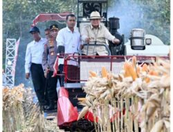 Presiden Prabowo Pimpin Langsung Panen Raya Jagung Di Tuban,Jawa Timur