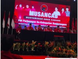 Musancab & Pelantikan 19 PAC PDIP Se-Banjarnegara Panaskan Mesin Partai Politik