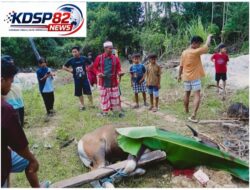 Ustad Purnomo Sakti SKM Apresiasi Warga LDII Kab.Muna Total 51 Hewan Qurban,Ikhlas Berqurban,Ikhlas Berbagi Di Hari Raya Idul Adha 1447 Hijriah
