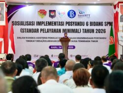 Ketum TP Posyandu: Posyandu Kini Jadi Pusat Pelayanan 6 Bidang SPM Di Desa