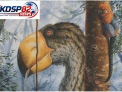 Seputar Paleontologi: Mengenal Burung Gastornis”Predator Mematikan Pasca Dinosaurus