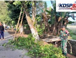 Wujud Kemanunggalan TNI,Babinsa Ngoran Pelopori Gotong Royong Bersihkan Jalan Desa