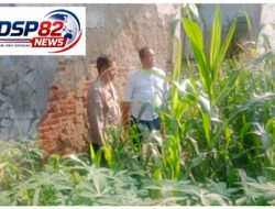 Sambang Warga Sambil Edukasi Ketahana Pangan,Bhabinkamtibmas Polsek Cempaka Dorong Pemanfaatan Pekarangan Rumah