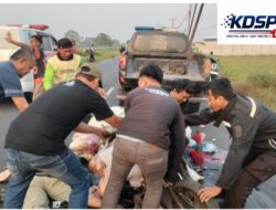 Diduga Korban Tabrak Lari, Polres Karawang Lakukan Penyelidikan Intensif Untuk Ungkap Pelaku