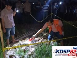Polres Karawang Selidiki Penemuan Mayat Pria Tanpa Identitas Di Area Persawahan Cikampek