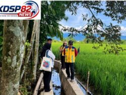Musim Tanam Tiba, Nagan Raya Manfaatkan TKD Untuk Rehabilitasi Sawah Terdampak