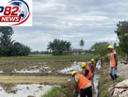 Apresiasi Untuk Ketua Gapoktan Sumber Makmur Milenial,Wujud Nyata Dedikasi Membangun Pertanian Mulai Dari Desa